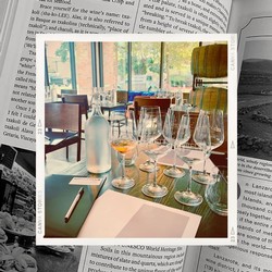Good Sense: Wine & The 5 Senses